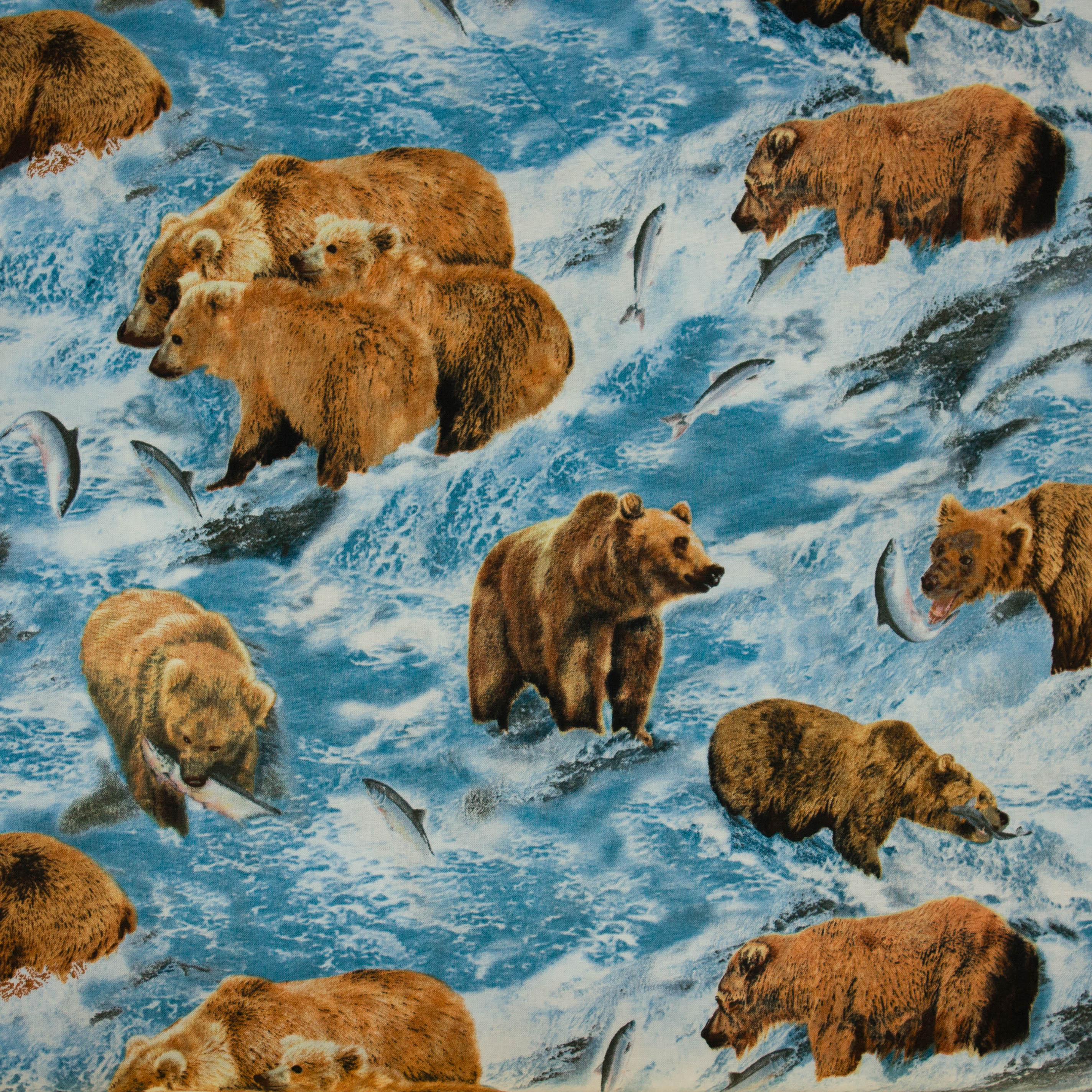 Katoen vis vangende beren in een rivier